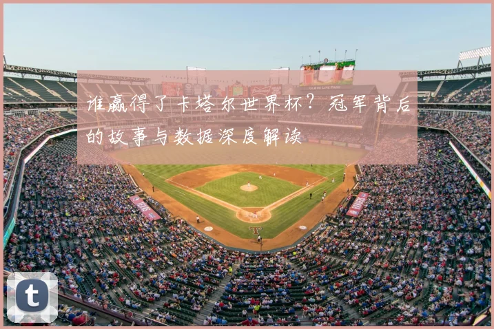 谁赢得了卡塔尔世界杯？冠军背后的故事与数据深度解读