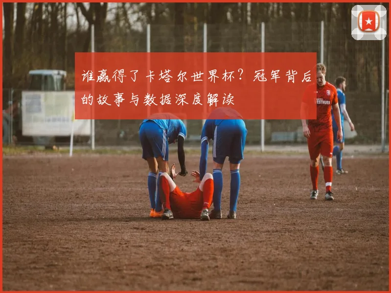 谁赢得了卡塔尔世界杯?冠军背后的故事与数据深度解读