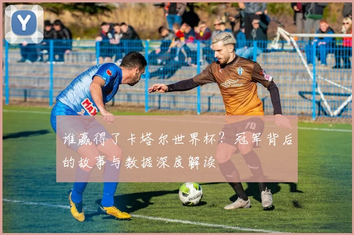 谁赢得了卡塔尔世界杯？冠军背后的故事与数据深度解读