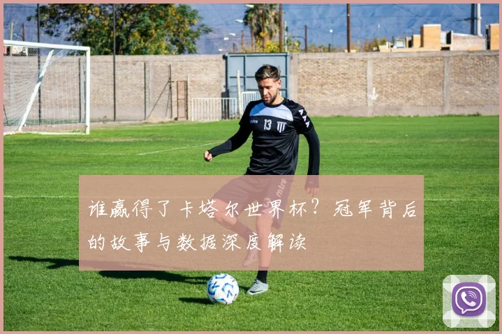谁赢得了卡塔尔世界杯？冠军背后的故事与数据深度解读